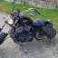 Harley